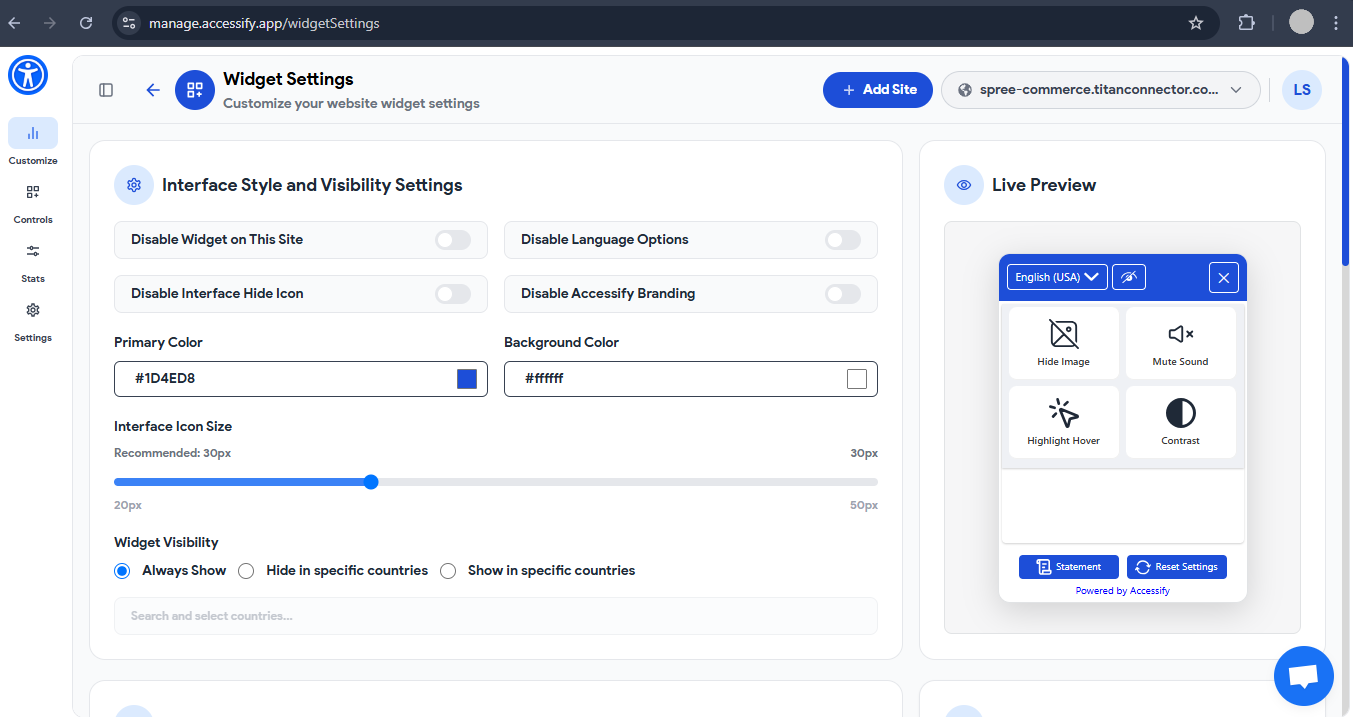 Accessify Widget customization settings