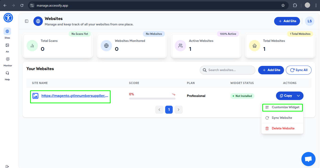 Accessify Widget customization