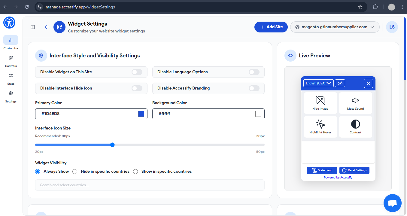 Accessify Widget customization settings