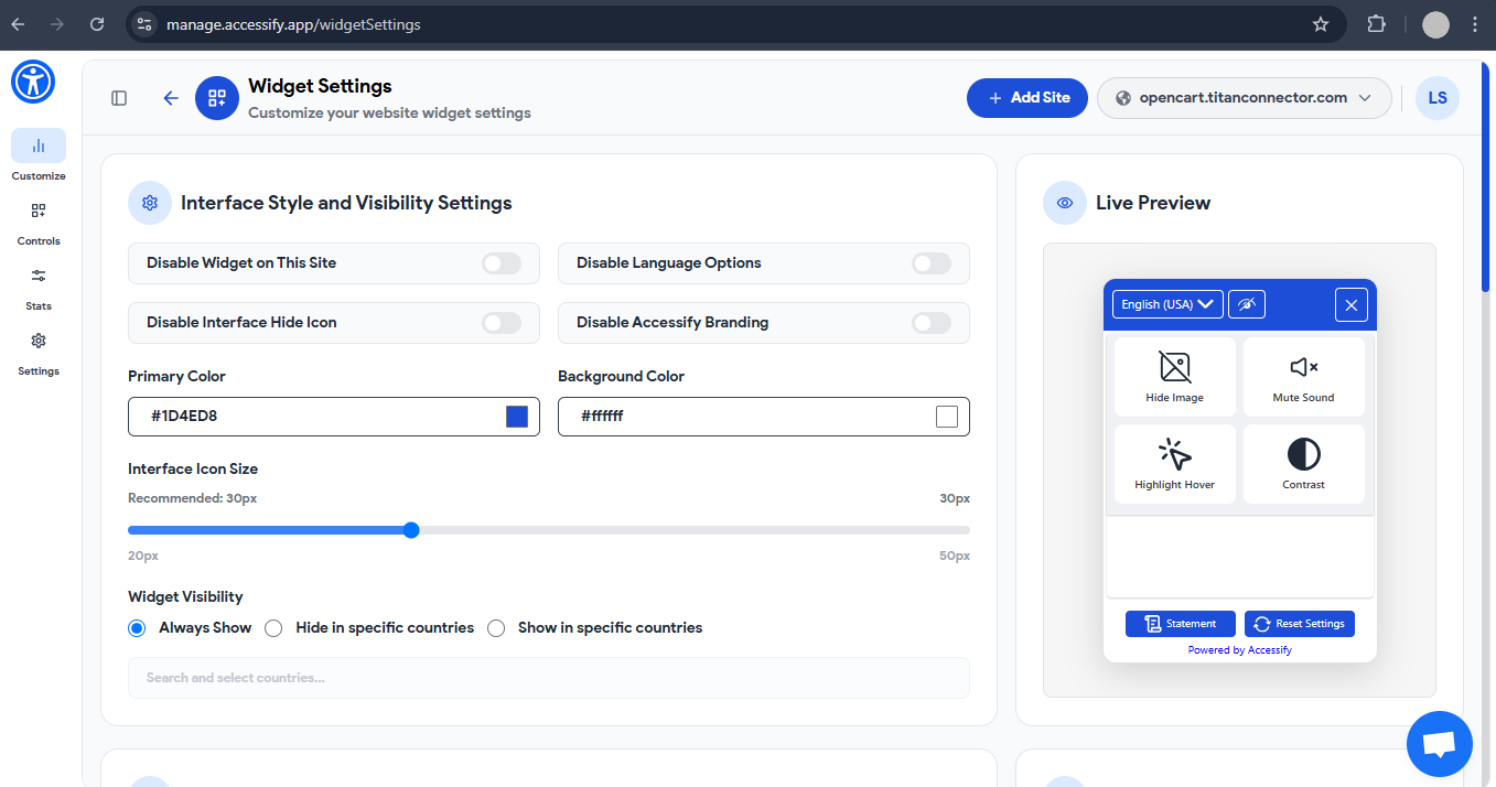 Accessify Widget customization settings