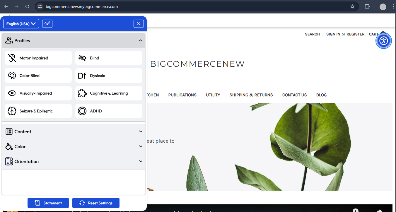 Accessify widget display on Bigcommerce site