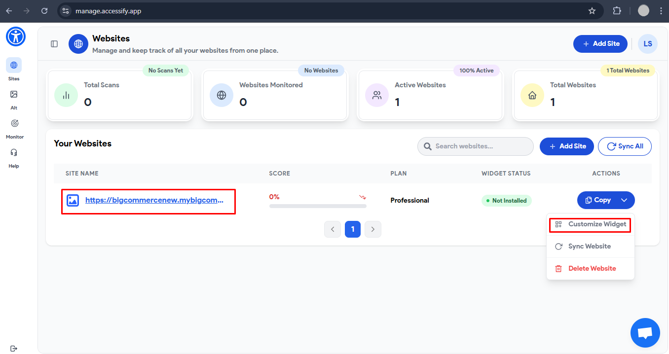 Accessify Widget customization