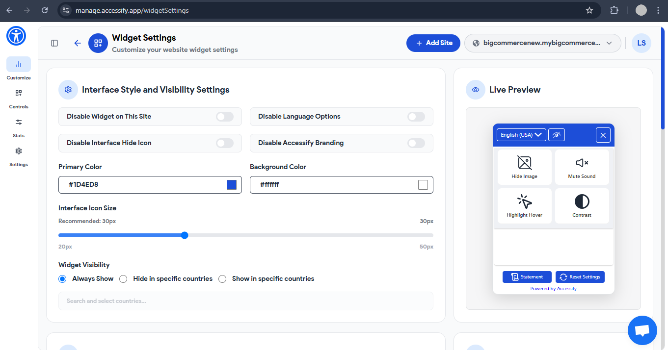 Accessify Widget customization settings