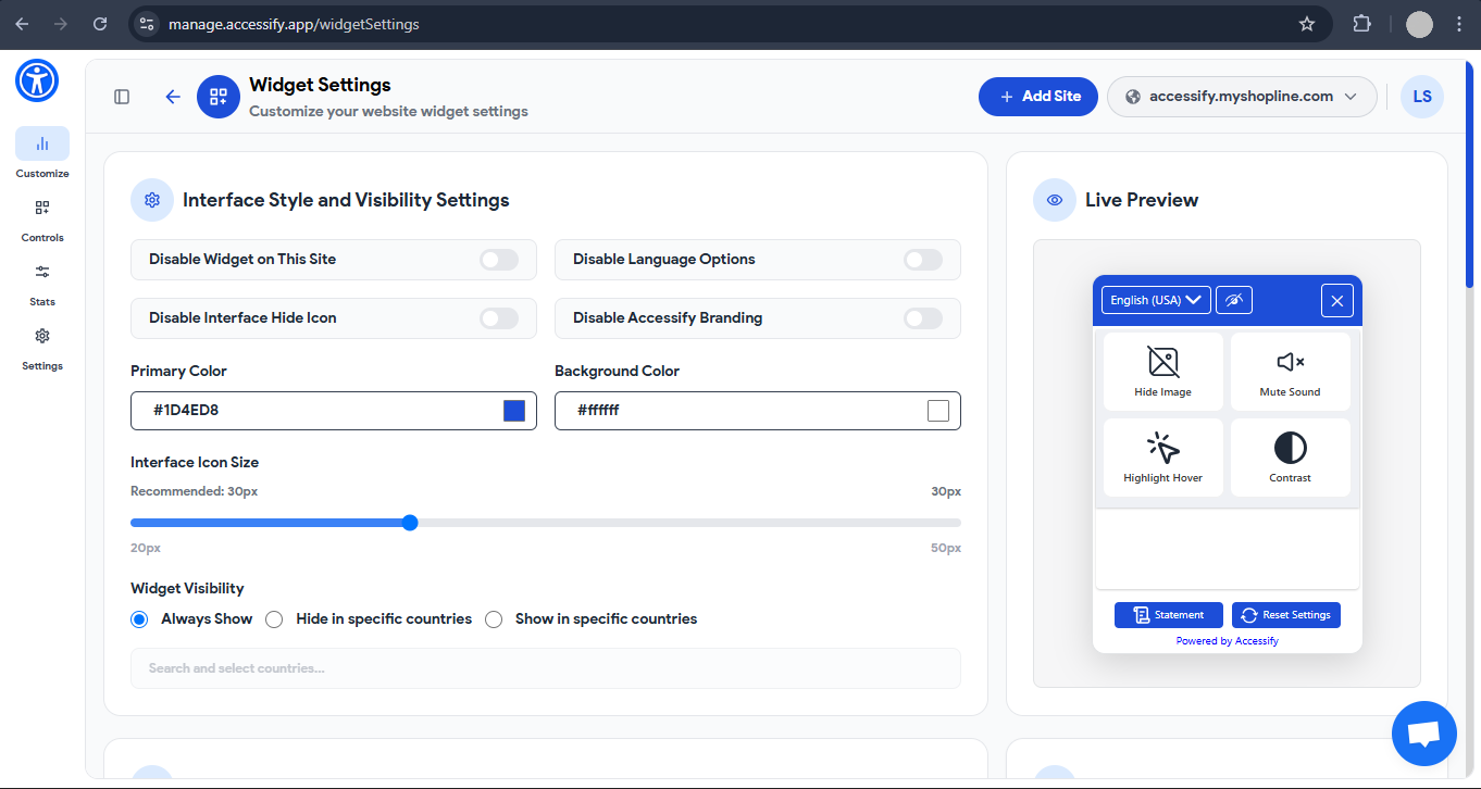 Accessify Widget customization settings